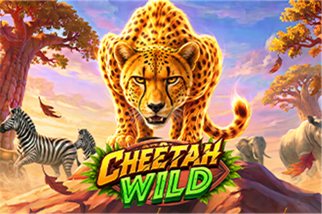 Cheetah Wild